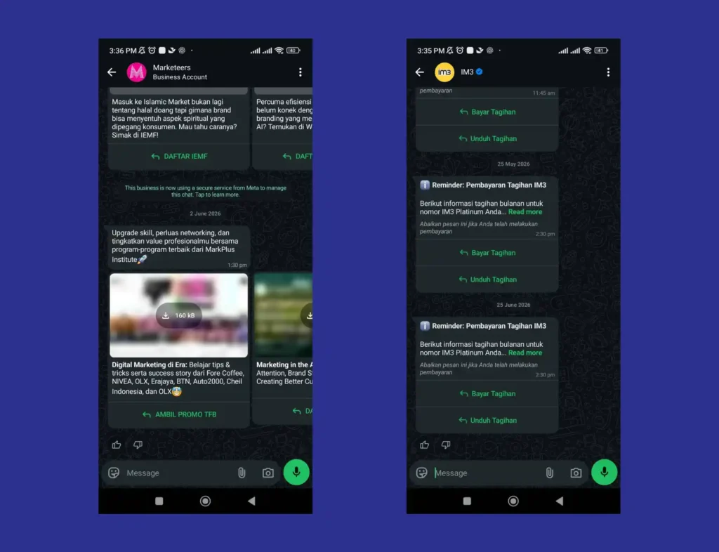 Contoh WhatsApp Blast